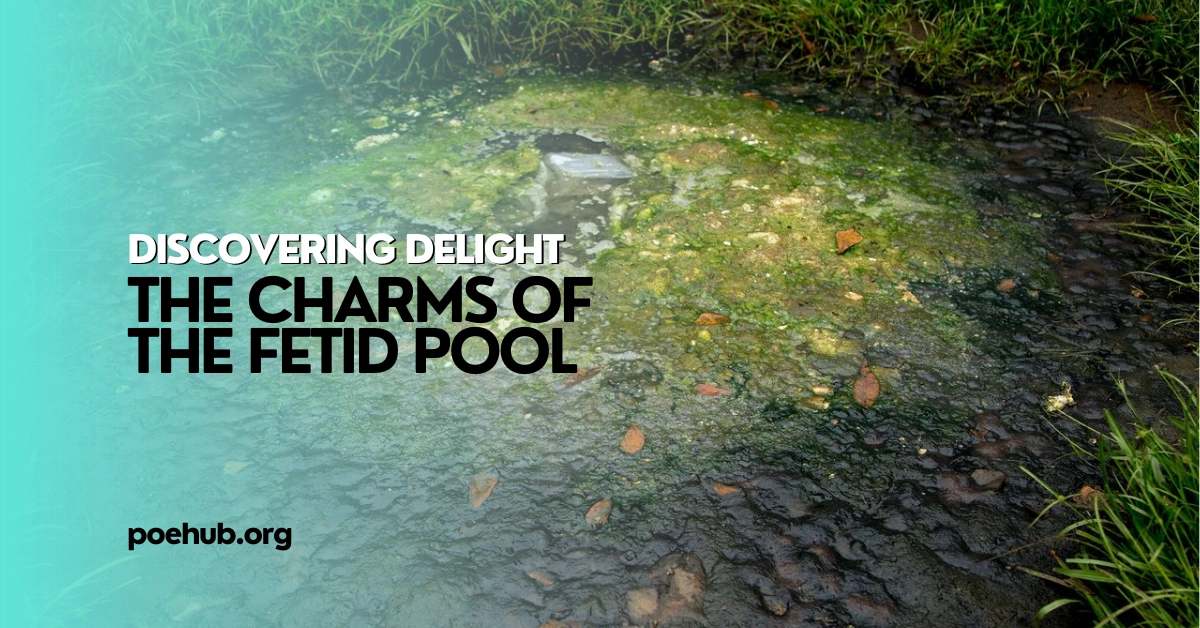 The Charms of The Fetid Pool